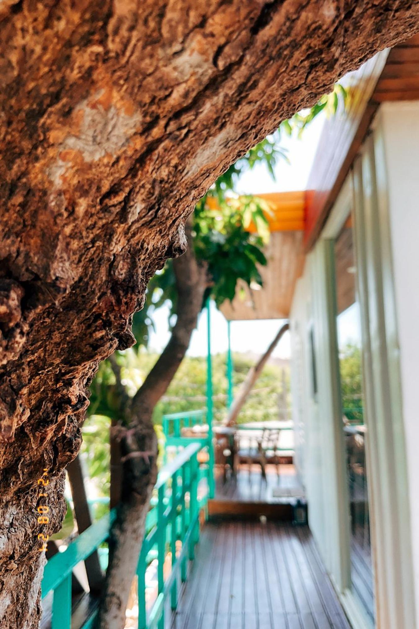 Little Ryukyu Hermit Crab Homestay остров Ламай Екстериор снимка