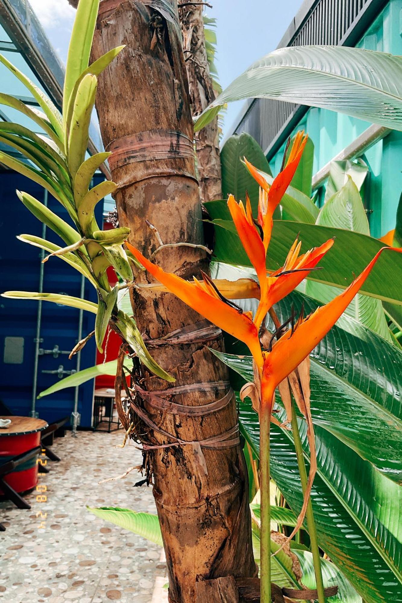 Little Ryukyu Hermit Crab Homestay остров Ламай Екстериор снимка